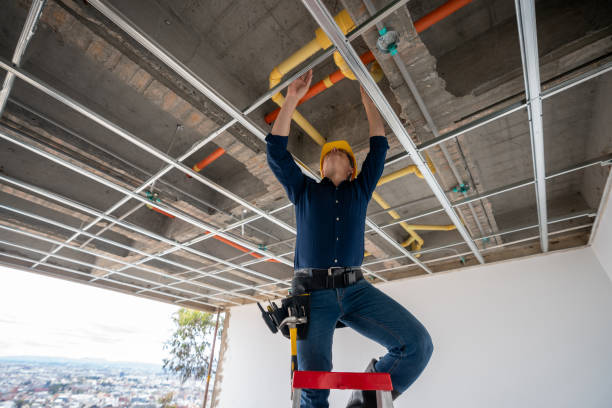 Best Drain Cleaning Services  in Pine Nyon, CA