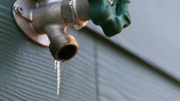 Best Affordable Plumbing Services  in Pine Nyon, CA